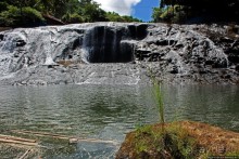 Альбом отзыва "Талофофо — живописная серия каскадов в джунглях Гуама"