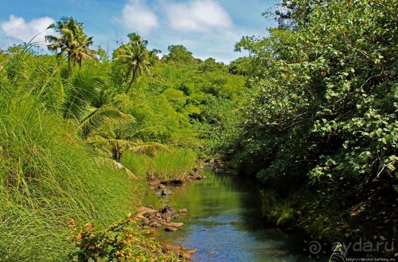 Талофофо — живописная серия каскадов в джунглях Гуама