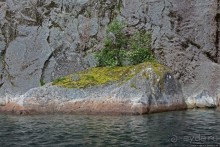 Тролльфьорд... мы подошли из-за угла