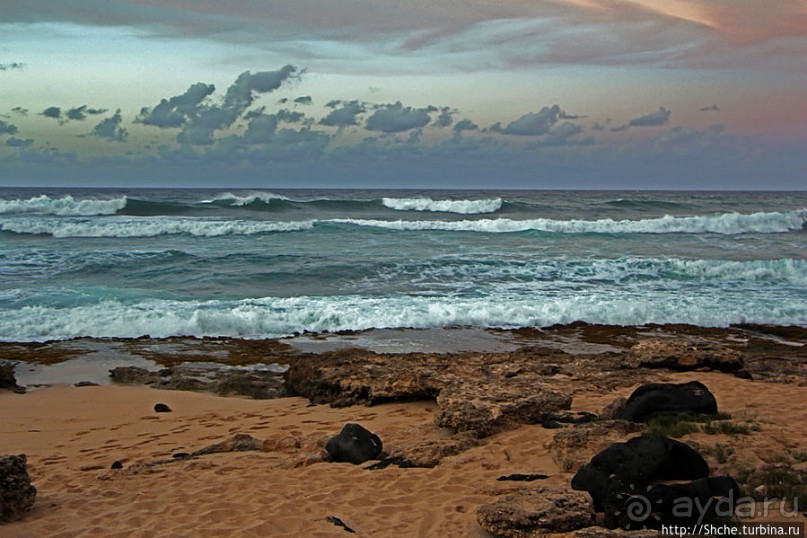 Альбом отзыва "Закат и волны — вид чудесный"