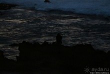 Альбом отзыва "Закат и волны — вид чудесный"