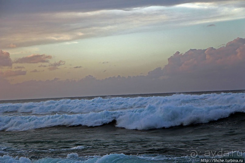 Альбом отзыва "Закат и волны — вид чудесный"