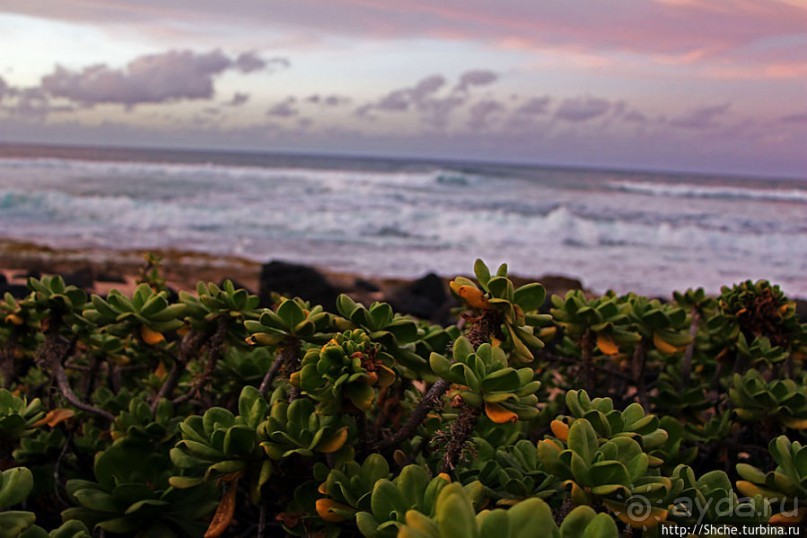 Альбом отзыва "Закат и волны — вид чудесный"