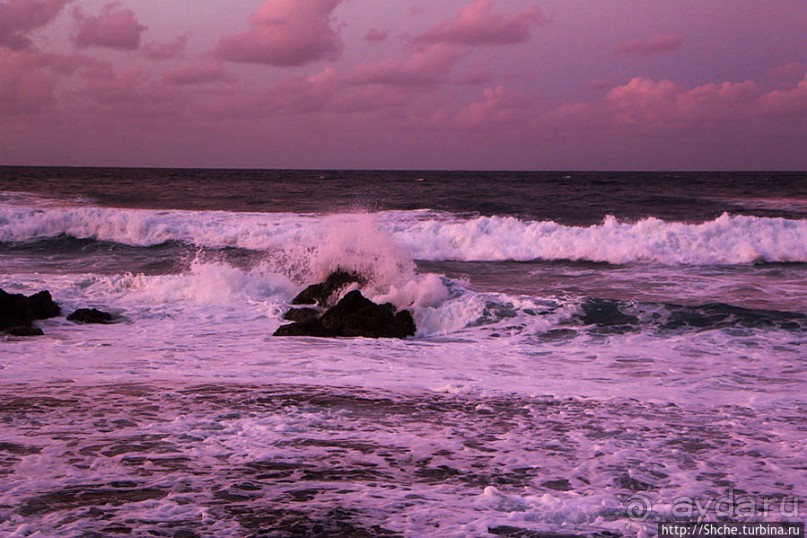 Альбом отзыва "Закат и волны — вид чудесный"