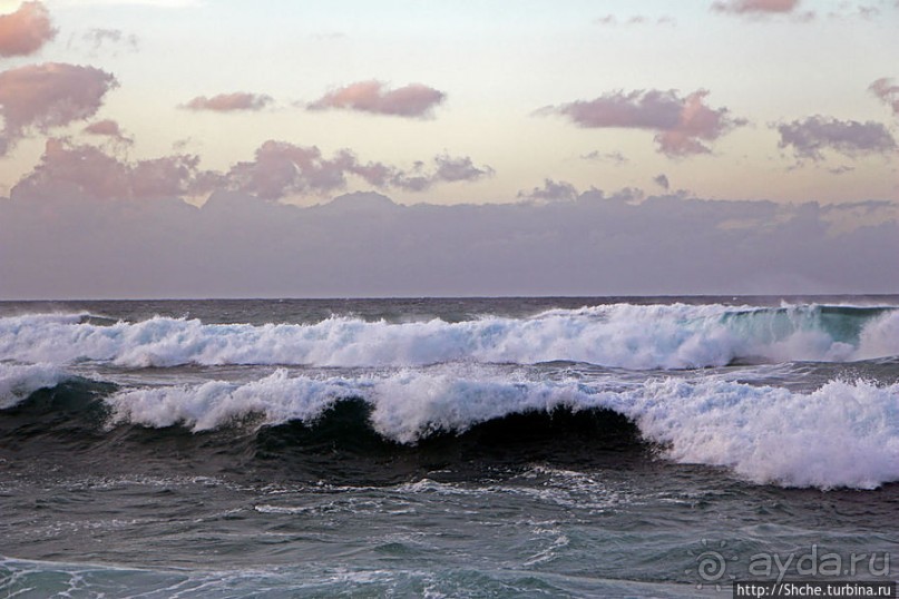 Альбом отзыва "Закат и волны — вид чудесный"