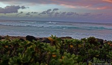 Альбом отзыва "Закат и волны — вид чудесный"