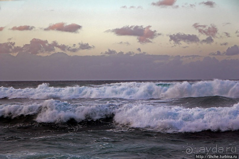 Альбом отзыва "Закат и волны — вид чудесный"