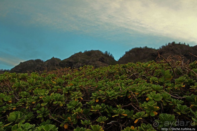 Закат и волны — вид чудесный