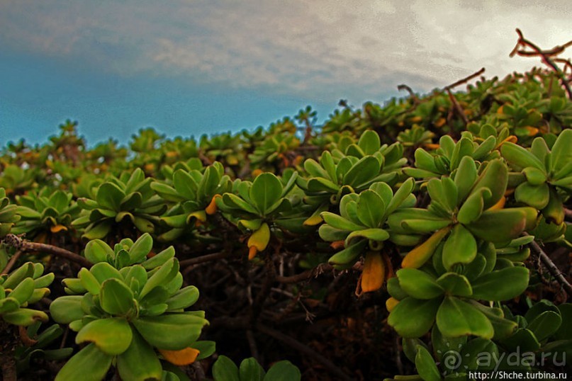 Закат и волны — вид чудесный