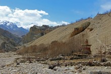 Мустанг. Обратная перемотка. Знакомство с Царангом