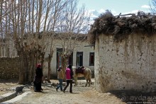Мустанг. Обратная перемотка. Знакомство с Царангом