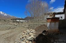 Мустанг. Обратная перемотка. Знакомство с Царангом