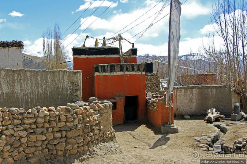 Мустанг. Обратная перемотка. Знакомство с Царангом