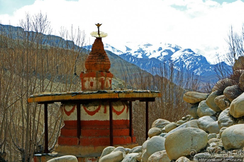 Мустанг. Обратная перемотка. Знакомство с Царангом