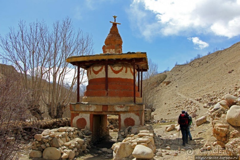 Мустанг. Обратная перемотка. Знакомство с Царангом