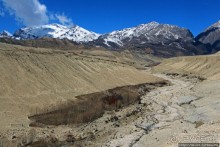 Мустанг. Обратная перемотка. Знакомство с Царангом