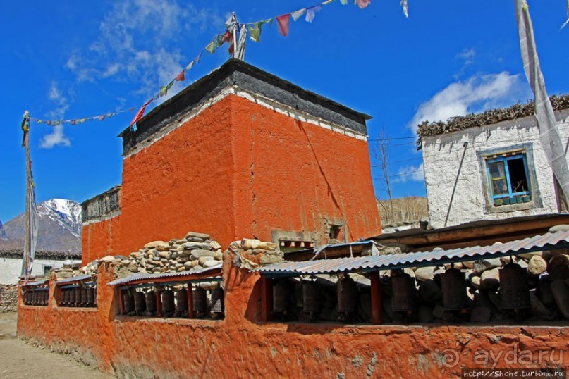 Мустанг. Обратная перемотка. Знакомство с Царангом