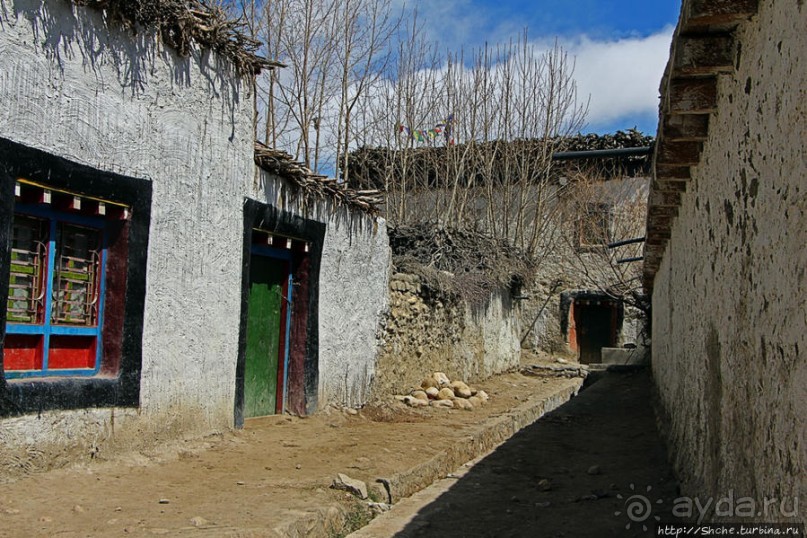 Мустанг. Обратная перемотка. Знакомство с Царангом