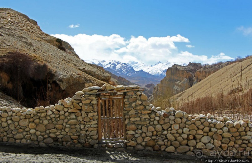 Мустанг. Обратная перемотка. Знакомство с Царангом