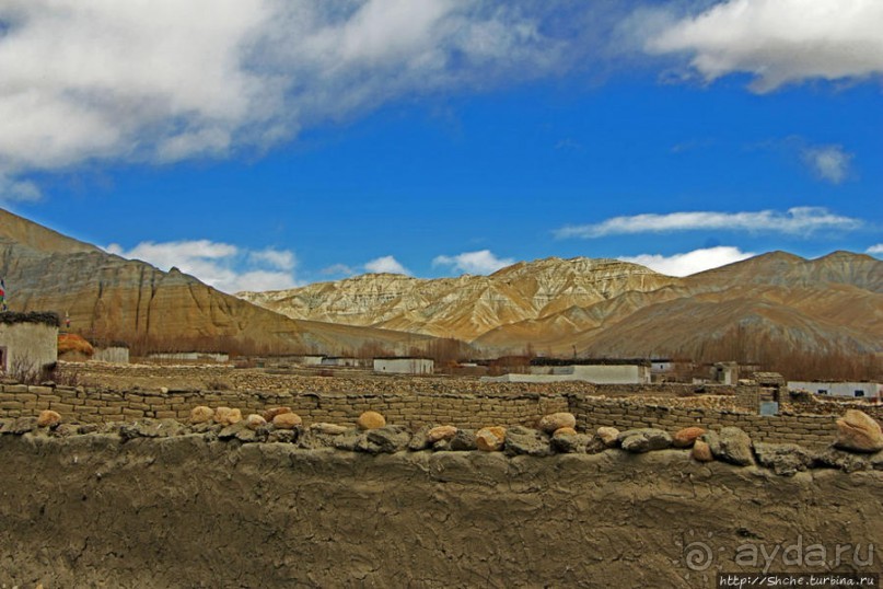 Мустанг. Обратная перемотка. Знакомство с Царангом