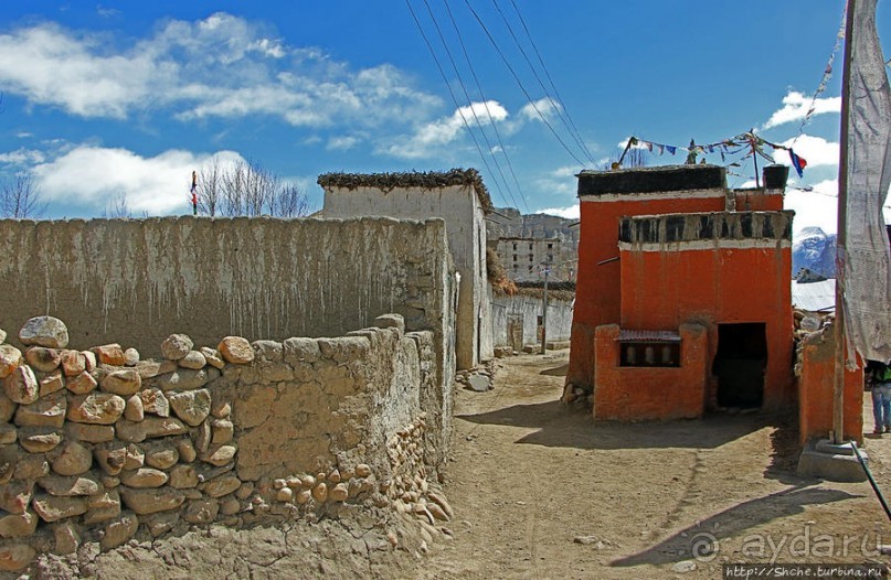 Мустанг. Обратная перемотка. Знакомство с Царангом