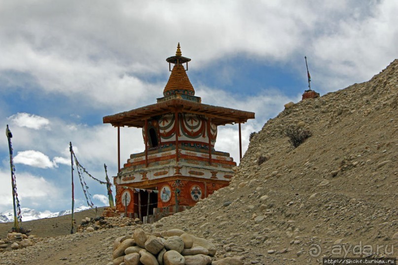 Мустанг. Обратная перемотка. Знакомство с Царангом
