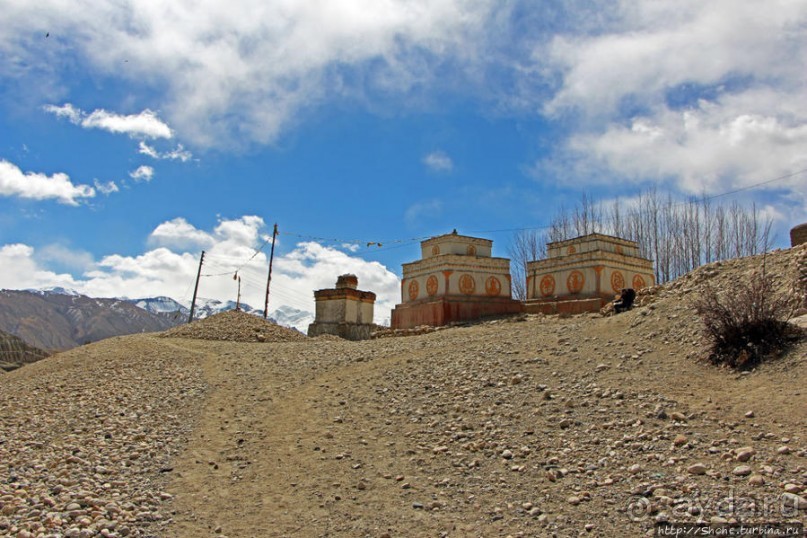 Мустанг. Обратная перемотка. Знакомство с Царангом