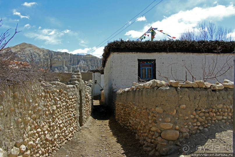 Мустанг. Обратная перемотка. Знакомство с Царангом