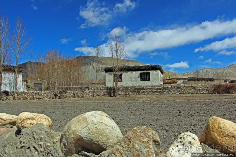 Мустанг. Обратная перемотка. Знакомство с Царангом