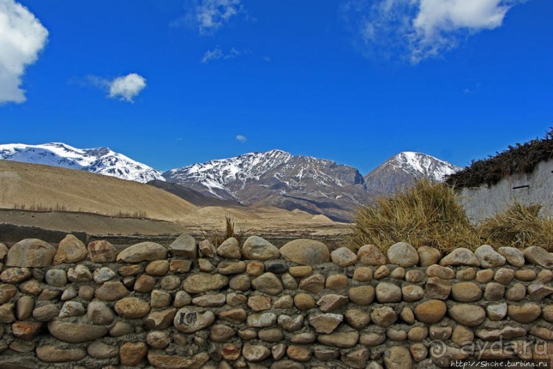Мустанг. Обратная перемотка. Знакомство с Царангом
