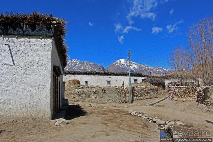 Мустанг. Обратная перемотка. Знакомство с Царангом
