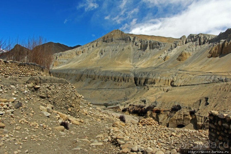 Мустанг. Обратная перемотка. Знакомство с Царангом