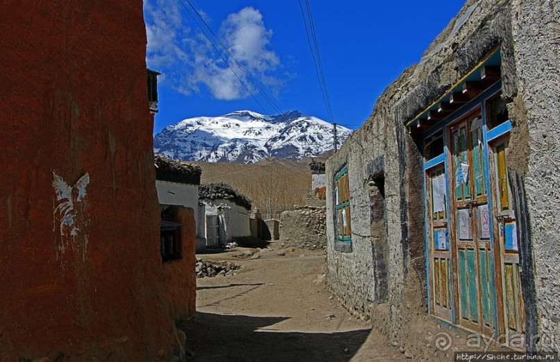 Мустанг. Обратная перемотка. Знакомство с Царангом