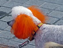 Что бы не перепутать:)