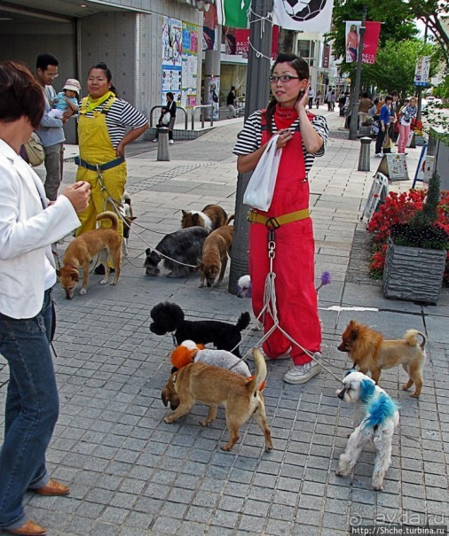 Что бы не перепутать:)
