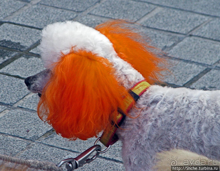 Что бы не перепутать:)