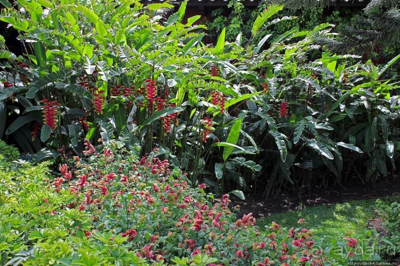 Шикарный пятизвездочный отель в колониальном стиле