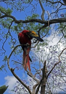 Шикарный пятизвездочный отель в колониальном стиле