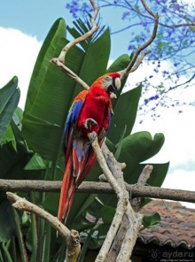 Шикарный пятизвездочный отель в колониальном стиле