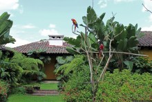 Шикарный пятизвездочный отель в колониальном стиле