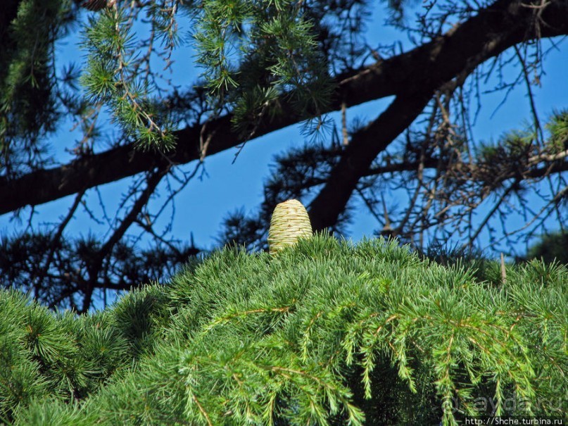 Отличный отель на системе all inclusive