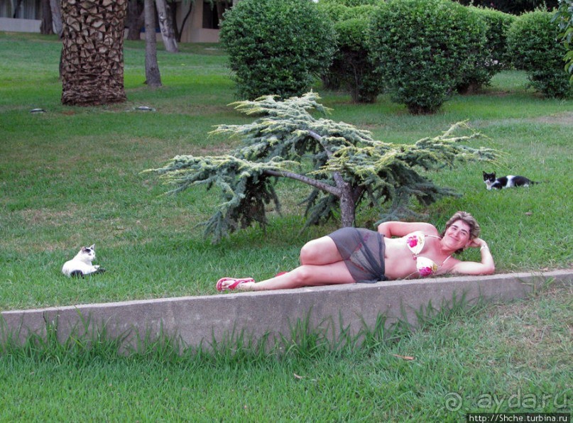 Отличный отель на системе all inclusive