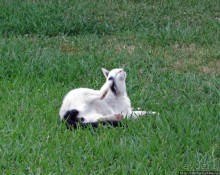 Отличный отель на системе all inclusive