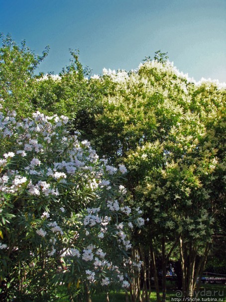 Отличный отель на системе all inclusive