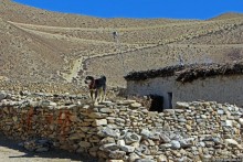 Мустанг. Наш третий день — он трудный самый (перевал 3960м)