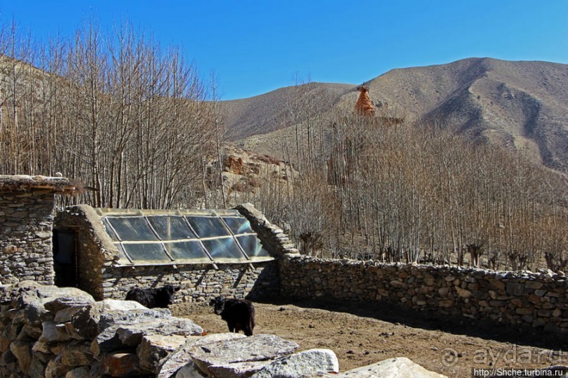 Мустанг. Наш третий день — он трудный самый (перевал 3960м)