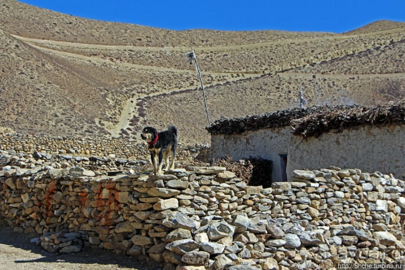 Мустанг. Наш третий день — он трудный самый (перевал 3960м)