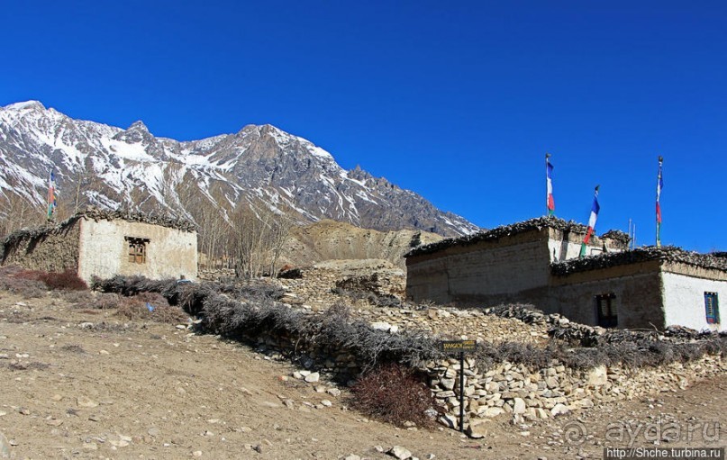 Мустанг. Наш третий день — он трудный самый (перевал 3960м)