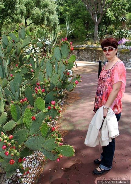 Ботанический сад Гибралтара