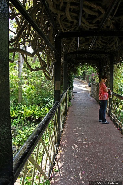 Ботанический сад Гибралтара